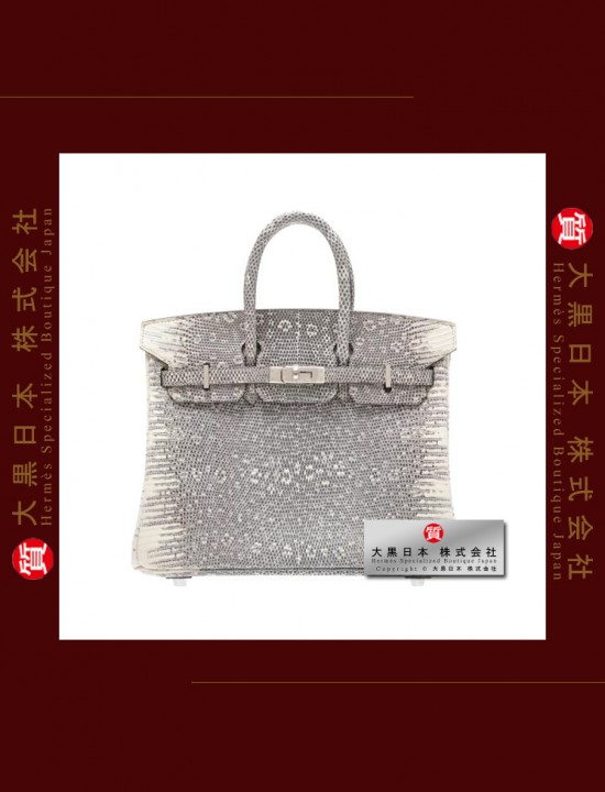 HERMES BIRKIN 25 (Pre-owned) Ombre, Natural lizard skin, Phw