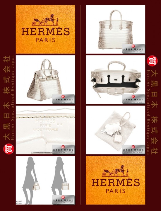 HERMES BIRKIN 25 (Pre-Owned) – Himalaya, Matt niloticus crocodile skin, Phw